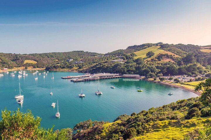 Ferry terminal - Waiheke Island
